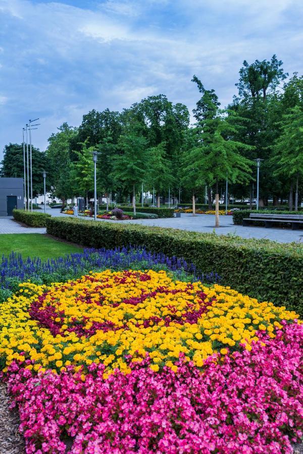Parkhotel Schillerhoehe Marbach am Neckar Exteriér fotografie